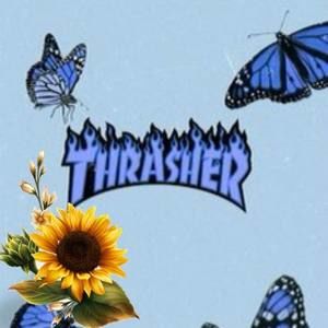 Meet your Posher, Ava